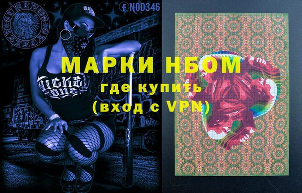 индика Аркадак