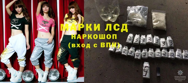 индика Аркадак