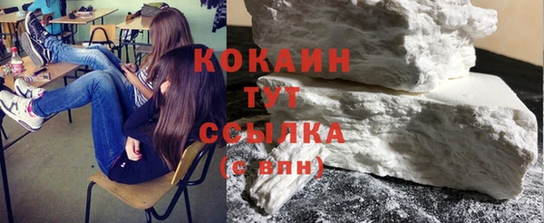 индика Аркадак