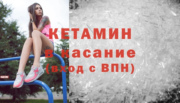 индика Аркадак