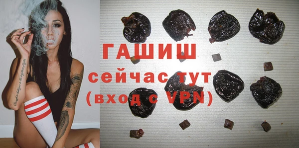 индика Аркадак