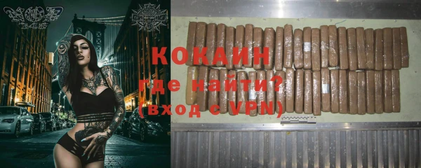 индика Аркадак