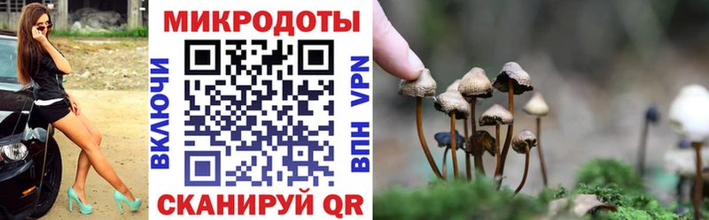 Галлюциногенные грибы мицелий Сальск