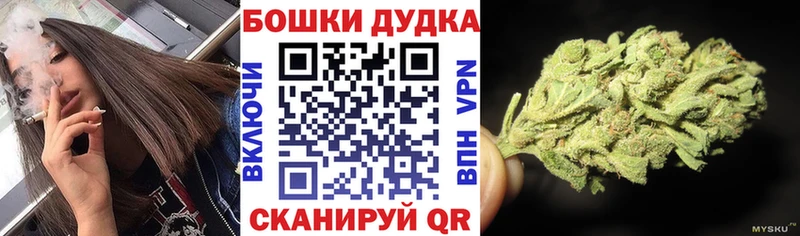 Шишки марихуана сатива  магазин    Сальск 